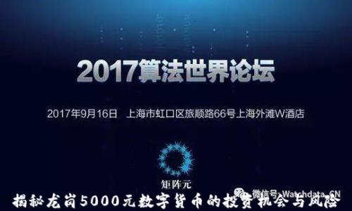 
揭秘龙岗5000元数字货币的投资机会与风险