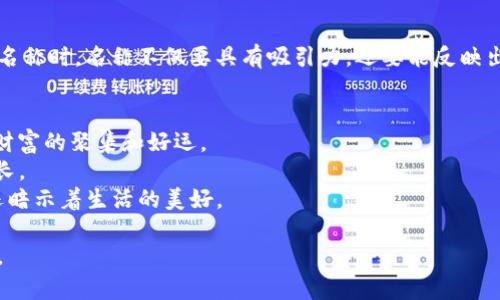 随着数字货币市场的日益发展，许多项目和资产应运而生。在选择一个合适的名称时，名称不仅要具有吸引力，还要能反映出其背后的理念和价值。以下是一些与“发财”相关的数字货币名称的创意建议：

1. **富积币**（WealthToken）：寓意在积累财富，象征着投资的回报与增长。
2. **金元宝币**（GoldIngotCoin）：借用中国传统文化中的吉祥象征，寓意着财富的聚集和好运。
3. **财富链**（WealthChain）：强调整个生态系统和链条中财富的流动和增长。
4. **幸福币**（HappinessCoin）：象征着金钱带来的幸福感，除了财富本身，还暗示着生活的美好。

这些名称不仅容易记忆，还有丰富的内涵，适合用作数字货币项目的品牌标识。