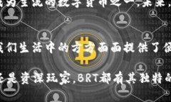   BRT数字货币：引领未来金融的新潮流与真实应用