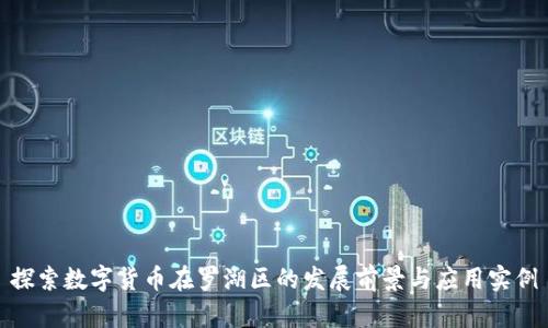 探索数字货币在罗湖区的发展前景与应用实例