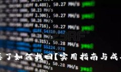 数字货币丢了如何找回？实用指南与成功案例分