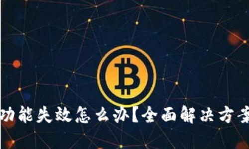TP钱包闪兑功能失效怎么办？全面解决方案与操作指南