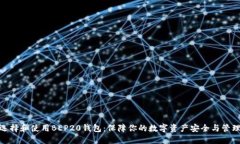 如何选择和使用BEP20钱包：保障你的数字资产安全