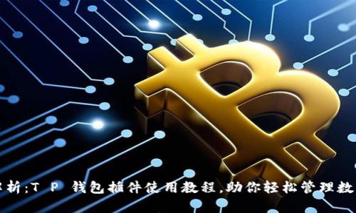 全面解析：T P 钱包插件使用教程，助你轻松管理数字资产