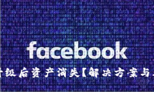 TP钱包升级后资产消失？解决方案与风险防范