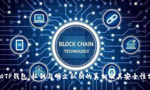 探秘TP钱包：私钥与明文私钥的真相及其安全性分析
