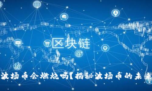 TP钱包中的波场币会燃烧吗？揭秘波场币的未来与投资策略