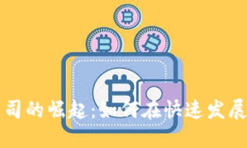 区块链数字货币公司的崛起：如何在快速发展的市场中获取成功