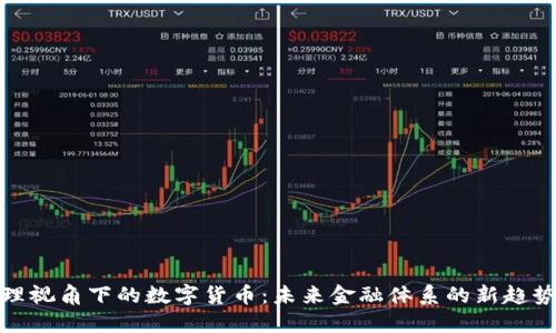 金融治理视角下的数字货币：未来金融体系的新趋势与挑战