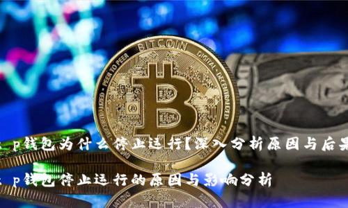 t p钱包为什么停止运行？深入分析原因与后果

t p钱包停止运行的原因与影响分析