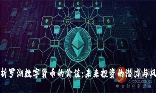 分析罗湖数字货币的价值：未来投资的潜力与风险