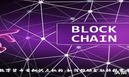 数字货币首批试点机构：如何推动金融科技变革