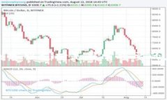 ## t p钱包在哪里找客服在使用任何数字钱包或移