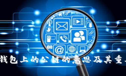 t p钱包上的公链的意思及其重要性