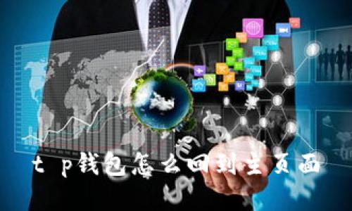 t p钱包怎么回到主页面