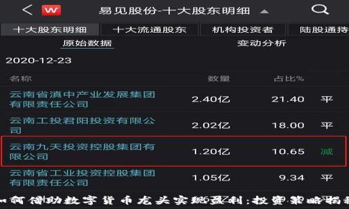  
如何借助数字货币龙头实现盈利：投资策略揭秘