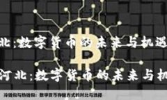 河北：数字货币的未来与机遇  河北：数字货币的