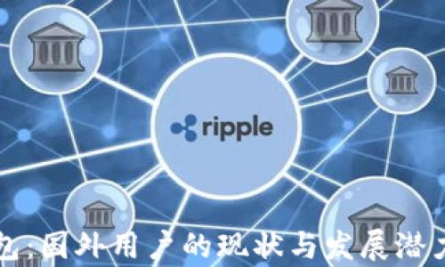 
TP钱包：国外用户的现状与发展潜力分析