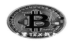 如何在TP钱包中设置TRX钱包：详细指南与技巧