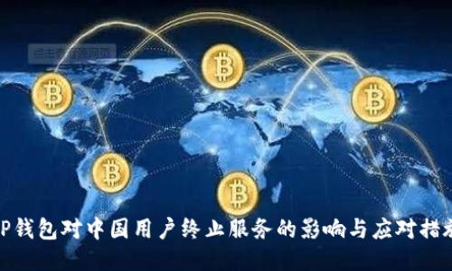 TP钱包对中国用户终止服务的影响与应对措施