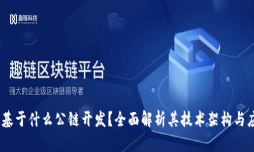 TP钱包：基于什么公链开发？全面解析其技术架构与应用场景