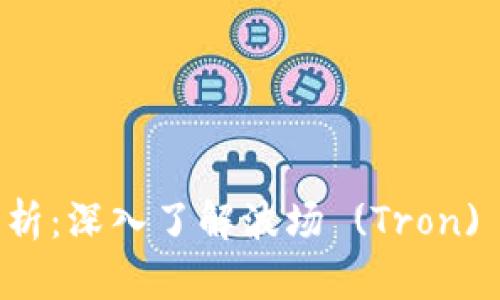 TP钱包波场网络解析：深入了解波场 (Tron) 的技术架构与应用