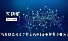  TP钱包助记词忘了能否找回？全面解析与解决方