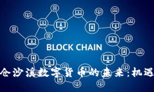 探索太仓沙溪数字货币的未来：机遇与挑战