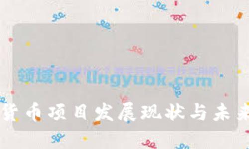 国内数字货币项目发展现状与未来趋势分析
