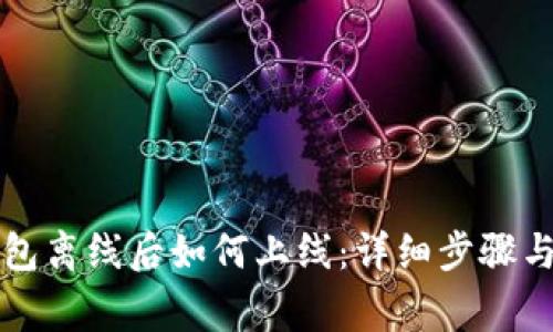 以太坊钱包离线后如何上线：详细步骤与注意事项