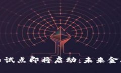 央行数字货币试点即将启动：未来金融的变革之