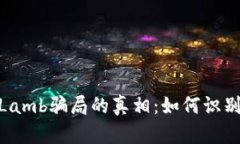 : 揭开数字货币Lamb骗局的真相：如何识别和防范