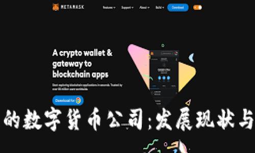 :
我国最大的数字货币公司：发展现状与未来趋势
