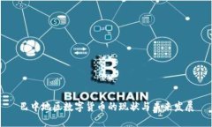 巴中地区数字货币的现状与未来发展