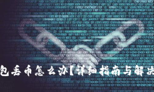 TP钱包丢币怎么办？详细指南与解决方案